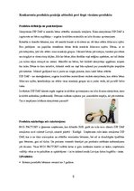 Referāts 'Mārketinga kampaņas plāns skrejritenim "Dip Dap"', 6.