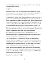 Referāts 'Mārketinga kampaņas plāns skrejritenim "Dip Dap"', 13.