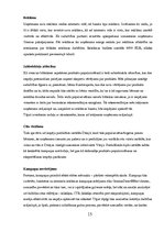 Referāts 'Mārketinga kampaņas plāns skrejritenim "Dip Dap"', 15.