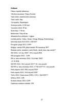 Referāts 'Mārketinga kampaņas plāns skrejritenim "Dip Dap"', 17.