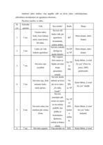 Konspekts 'Scenārijs', 2.