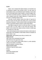 Referāts 'Masku veidi un to iedarbība uz ādu', 5.