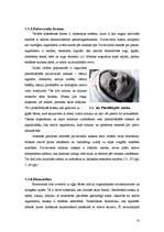 Referāts 'Masku veidi un to iedarbība uz ādu', 16.