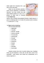 Referāts 'Masku veidi un to iedarbība uz ādu', 17.