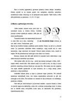 Referāts 'Masku veidi un to iedarbība uz ādu', 19.