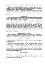 Referāts 'Bāra izveide', 6.