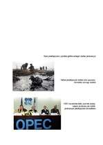 Referāts 'Naftas piesārņojums', 3.