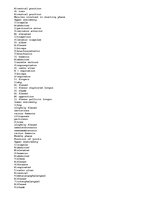 Eseja 'A Kinesiological Analysis of the "Barbell Squat"', 2.