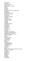 Eseja 'A Kinesiological Analysis of the "Barbell Squat"', 3.
