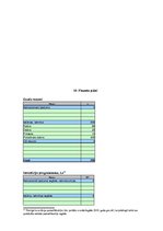 Biznesa plāns 'Ziņu portāla www.latvijasinfo.lv biznesa plāns', 23.