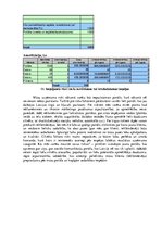 Biznesa plāns 'Ziņu portāla www.latvijasinfo.lv biznesa plāns', 24.