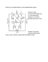 Konspekts 'Petri tīkli', 7.