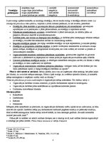 Konspekts 'Vadīšanas funkcijas. Plānošanas būtība', 4.