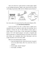 Referāts 'Merkantilisma prakses izvērtējums Latvijas teritorijā', 6.