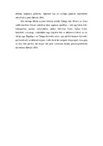 Referāts 'Merkantilisma prakses izvērtējums Latvijas teritorijā', 10.