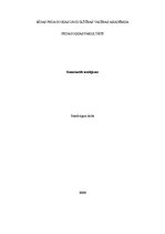 Eseja 'Emocionālā inteliģence', 1.