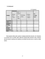 Biznesa plāns 'Biznesa plāns skaistumkopšanas salonam', 17.