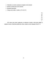 Biznesa plāns 'Biznesa plāns skaistumkopšanas salonam', 19.