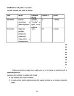 Biznesa plāns 'Biznesa plāns skaistumkopšanas salonam', 24.