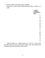 Biznesa plāns 'Biznesa plāns skaistumkopšanas salonam', 25.