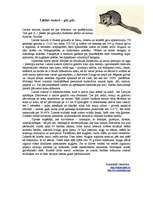 Konspekts 'Lielais susurs', 1.