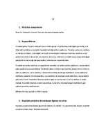 Biznesa plāns 'Projekta darbs komerczinībās', 2.