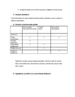 Biznesa plāns 'Projekta darbs komerczinībās', 4.