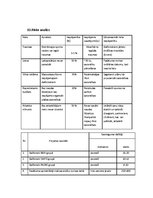 Biznesa plāns 'Projekta darbs komerczinībās', 5.