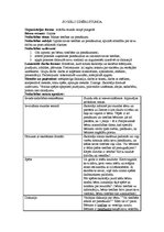 Konspekts 'Sociālo zinību stunda "Bērnu tiesības un pienākumi". Nodarbības apraksts', 1.