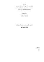 Referāts 'Organizācijas specifiskās saites ar ārējo vidi', 1.