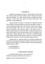 Referāts 'Organizācijas specifiskās saites ar ārējo vidi', 5.