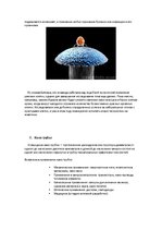 Referāts 'Микро и нано-технологии', 13.