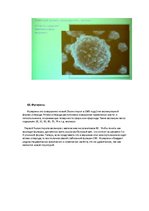 Referāts 'Микро и нано-технологии', 18.