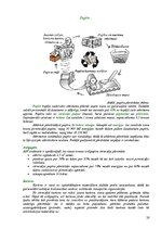 Referāts 'Atkritumi un to apsaimniekošana', 20.