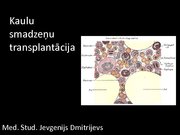 Prezentācija 'Kaulu smadzeņu transplantācija', 1.