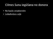 Prezentācija 'Kaulu smadzeņu transplantācija', 7.