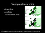 Prezentācija 'Kaulu smadzeņu transplantācija', 10.