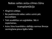 Prezentācija 'Kaulu smadzeņu transplantācija', 13.