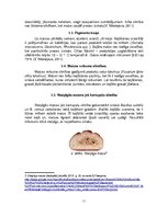 Referāts 'Maizes derīguma termiņš', 11.