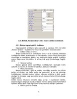 Referāts 'Maizes derīguma termiņš', 16.