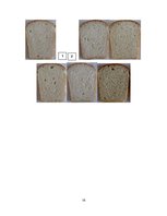 Referāts 'Maizes derīguma termiņš', 18.