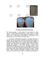 Referāts 'Maizes derīguma termiņš', 19.