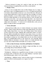 Referāts 'Filma "Melānijas hronika"', 3.