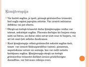 Prezentācija 'Onkoloģija un grūtniecība', 9.