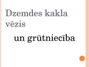 Prezentācija 'Onkoloģija un grūtniecība', 13.