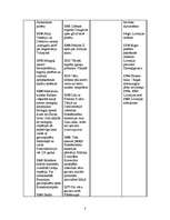 Konspekts 'Sinhronā hronoloģiskā tabula', 3.