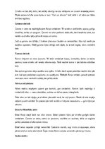 Konspekts 'Rainis “Gals un sākums”', 3.