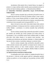 Referāts 'Drošības līdzeklis', 10.