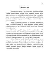 Referāts 'Drošības līdzeklis', 12.