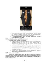 Diplomdarbs 'Skolēnu mācību uzņēmums “UTOPIA”', 9.